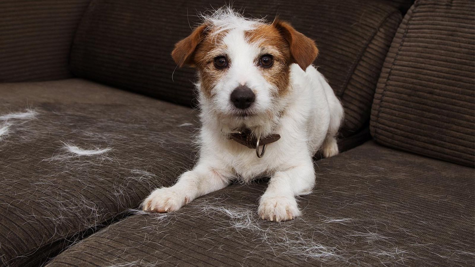 roads go ever, ever on